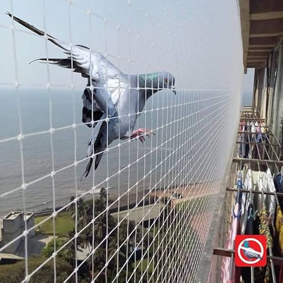Cover photo of Bharathi Balcony Safety Nets: Professional Anti-Bird & Pigeon Net Installation for Hyderabad Balconies at Competitive Prices.